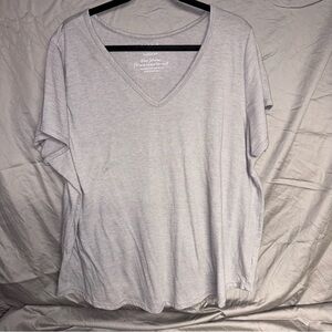 Torrid Classic Fit Gray V-Neck Tee